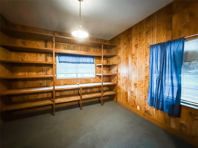 102 Besch Wilburn Ln, Glidden, TX 78943 - unfurnished office featuring wooden walls and carpet