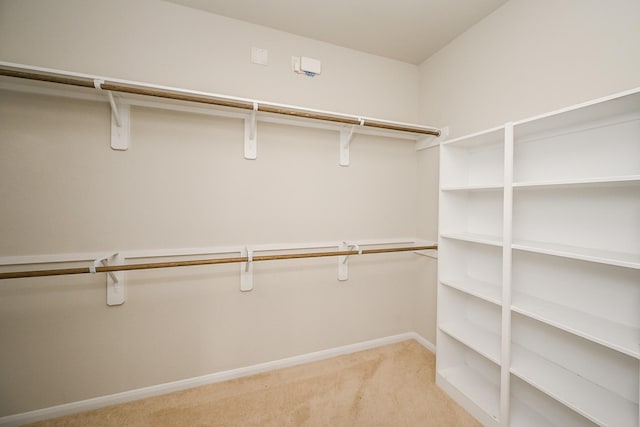 108 Shallow Creek Dr, Waller, TX 77445 - walk in closet featuring light colored carpet