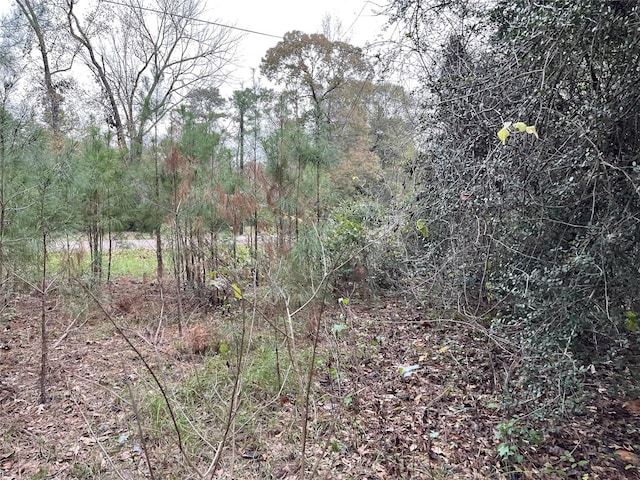 380 Lure Ln, Livingston, TX 77351 - photo 3