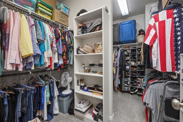 5734 Arden Way, Pasadena, TX 77505 - view of spacious closet