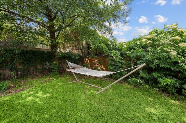 1818 Decatur St, Houston, TX 77007 - view of yard