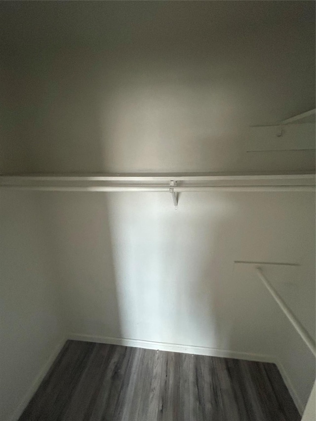 13507 White Cliff Dr, Houston, TX 77065 - walk in closet with dark wood-style floors