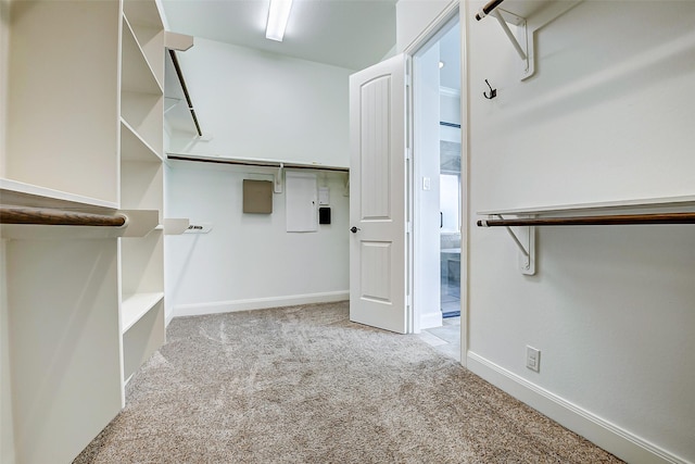 6315 Asbury Brook Ct, Katy, TX 77493 - spacious closet with carpet flooring