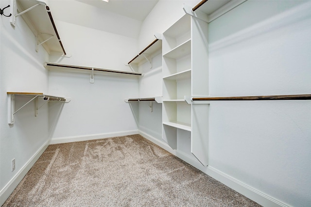 6315 Asbury Brook Ct, Katy, TX 77493 - walk in closet featuring carpet flooring