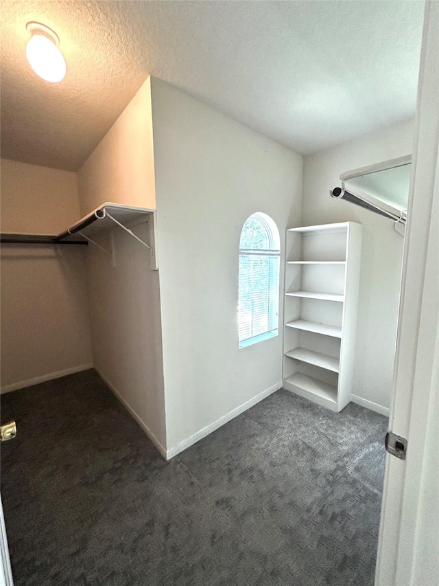 walk in closet with dark colored carpet
