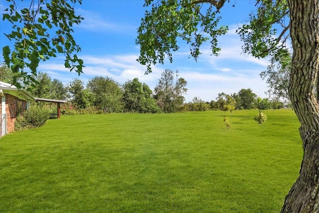 13519 Montgomery Rd, Santa Fe, TX 77510 - view of grassy yard