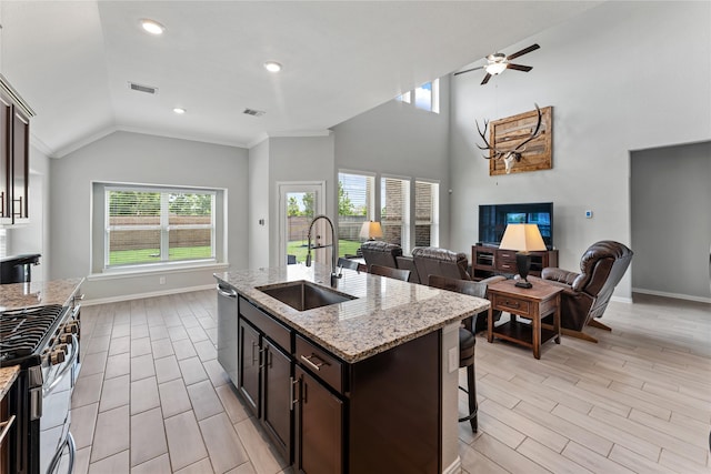 19011 Whistling Duck Dr, Cypress, TX 77433 - kitchen with a sink, open floor plan, stainless steel appliances, plenty of natural light, and lofted ceiling