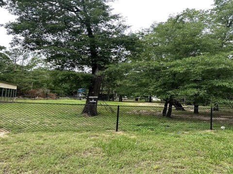 179 Somerset, Livingston, TX 77351 - photo 19