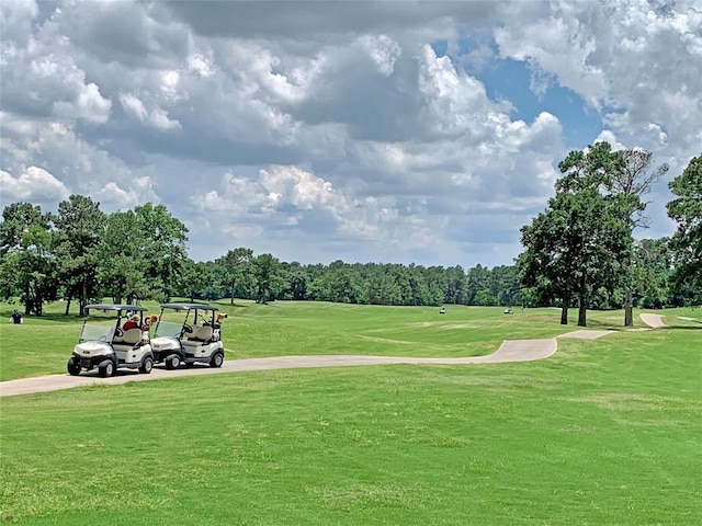 19810 Tidy Tips Ln, Spring, TX 77379 - view of property's community featuring golf course view, view of scattered trees, and a lawn