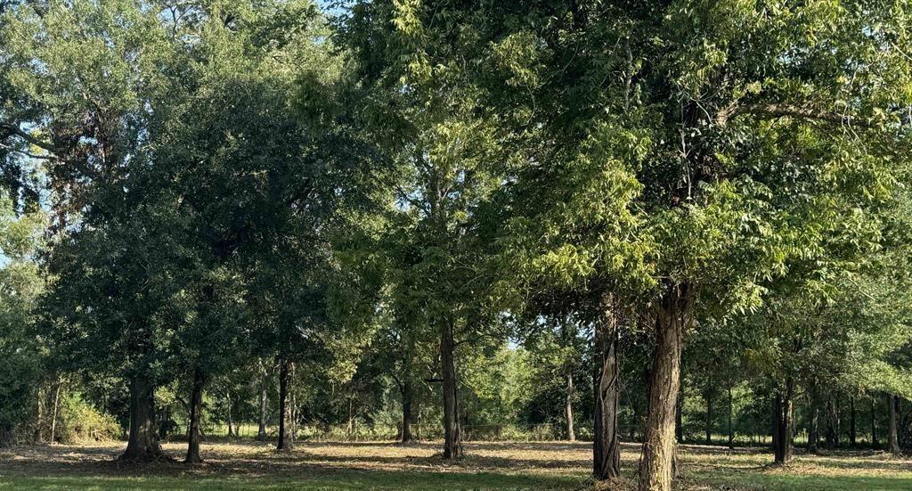 2490 Brickyard Rd, Beaumont, TX 77703