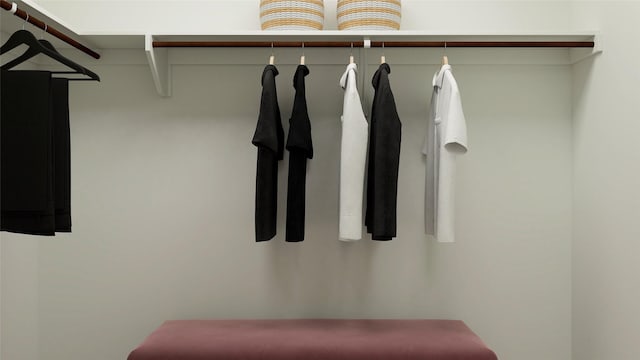 281 Douglas Hills Dr, Magnolia, TX 77354 - view of walk in closet