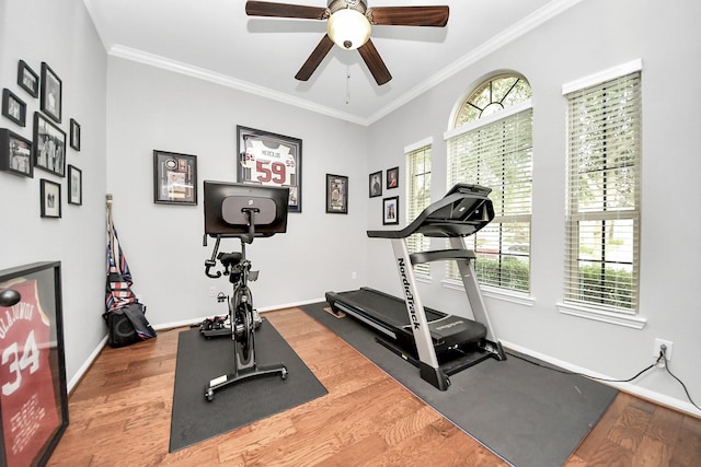 419 Sunny River Ln, Richmond, TX 77406 - workout room featuring wood finished floors, ornamental molding, a ceiling fan, plenty of natural light, and baseboards