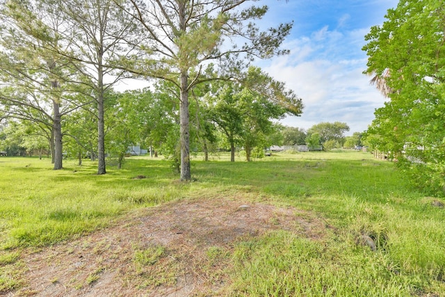 910 Airline N, Rosharon, TX 77583