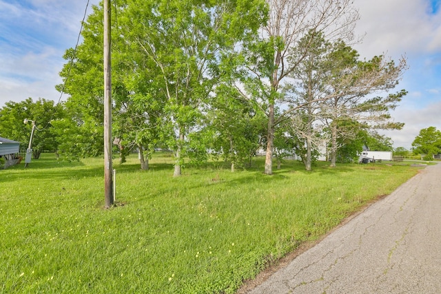 910 Airline N, Rosharon, TX 77583
