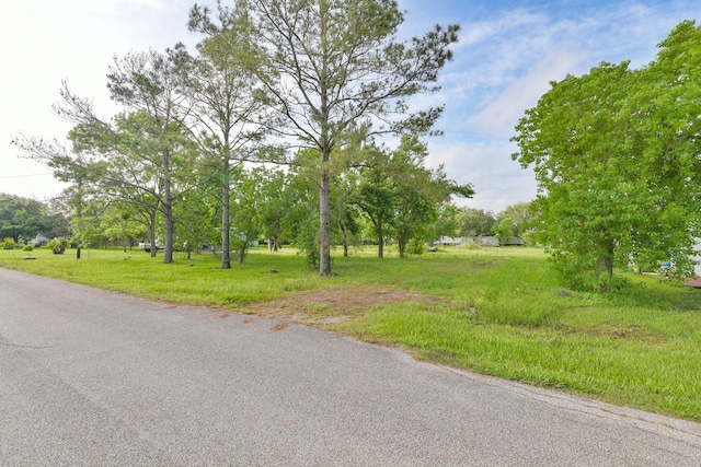 910 Airline N, Rosharon, TX 77583
