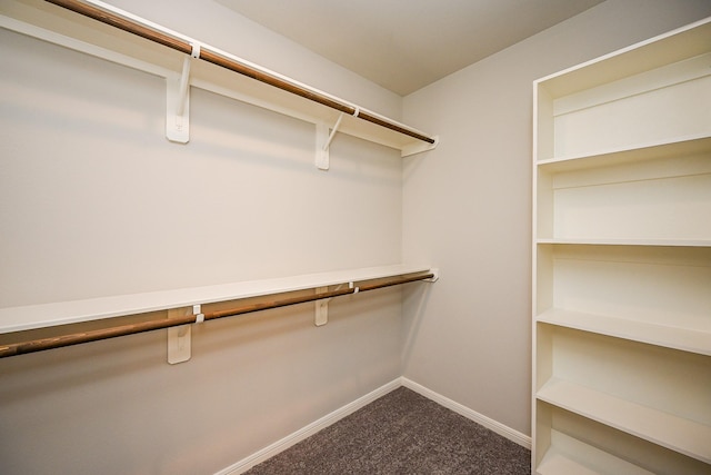 10130 Barn Owl Trl, Magnolia, TX 77354 - walk in closet featuring carpet flooring
