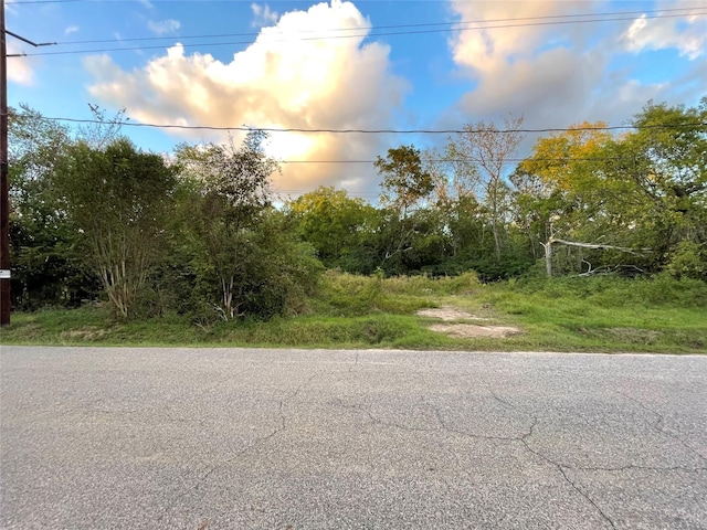 927 Lizzie Ln, Tomball, TX 77375