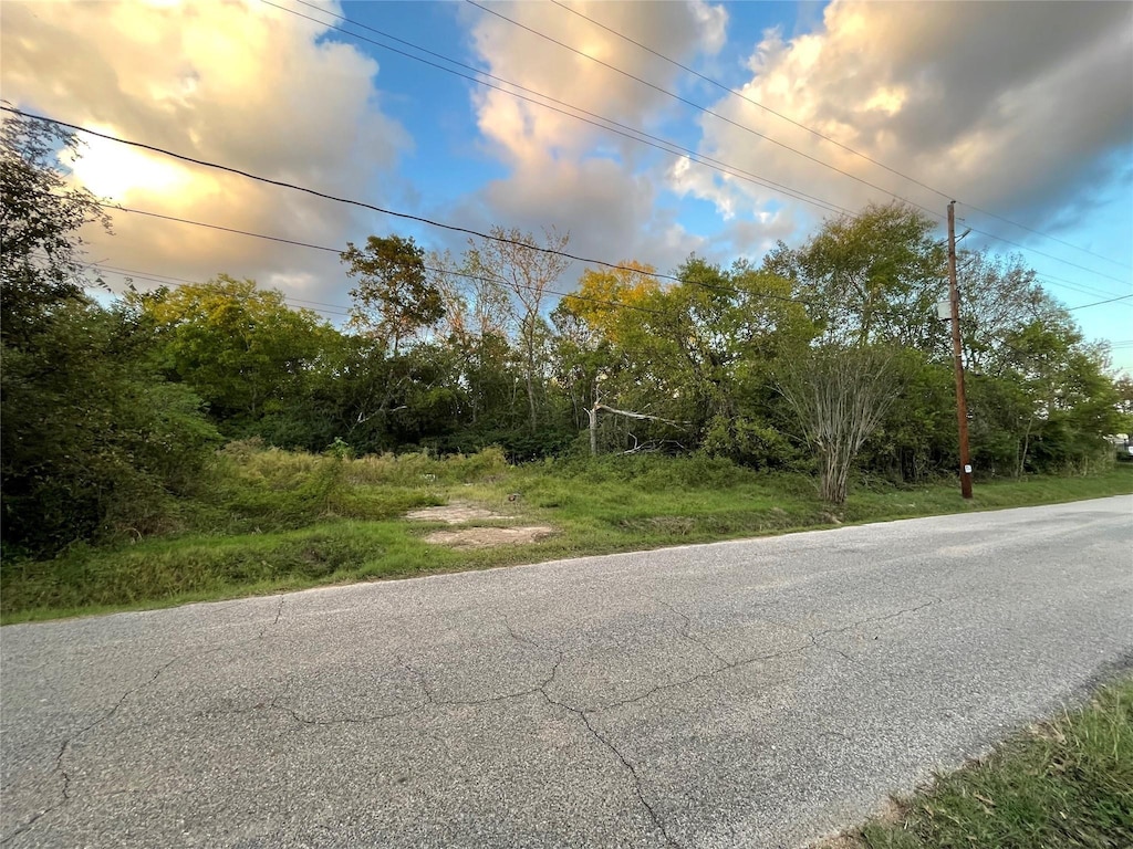 927 Lizzie Ln, Tomball, TX 77375