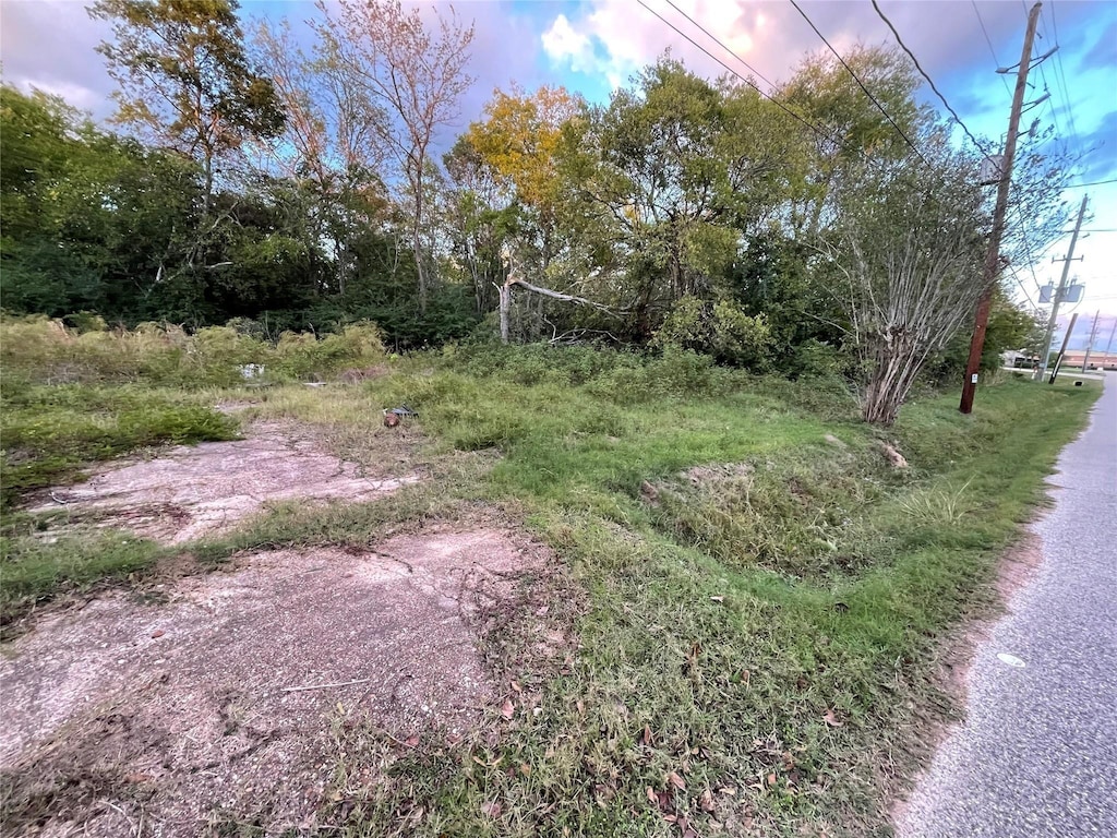 927 Lizzie Ln, Tomball, TX 77375