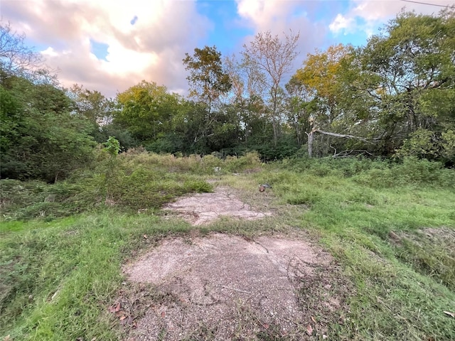 927 Lizzie Ln, Tomball, TX 77375