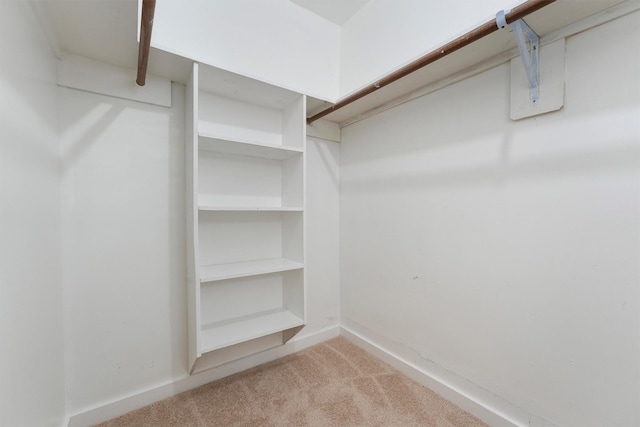 walk in closet with carpet