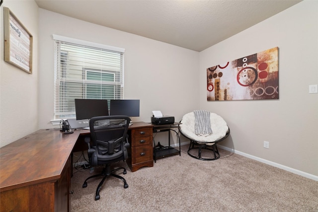 29122 Artic Brook Ln, Fulshear, TX 77441 - home office with carpet floors and baseboards