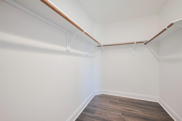 walk in closet featuring dark wood-type flooring
