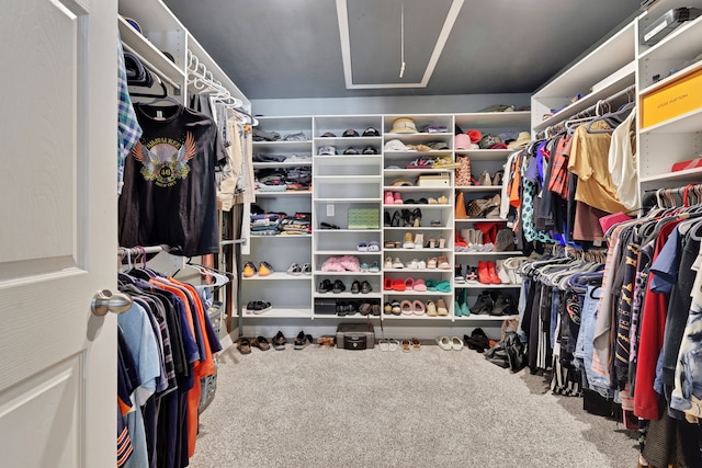 6206 Bayou Blvd, Baytown, TX 77521 - walk in closet featuring attic access and carpet flooring