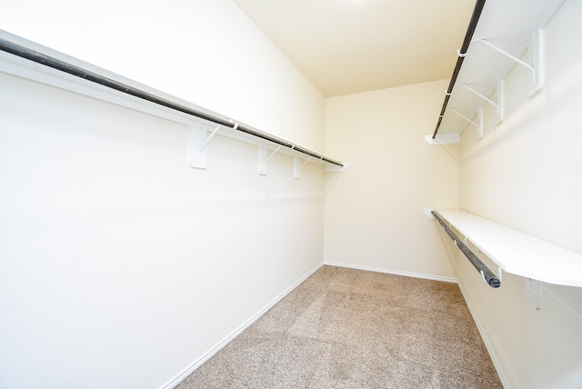 4622 Stolz Trl, Katy, TX 77493 - spacious closet with light carpet