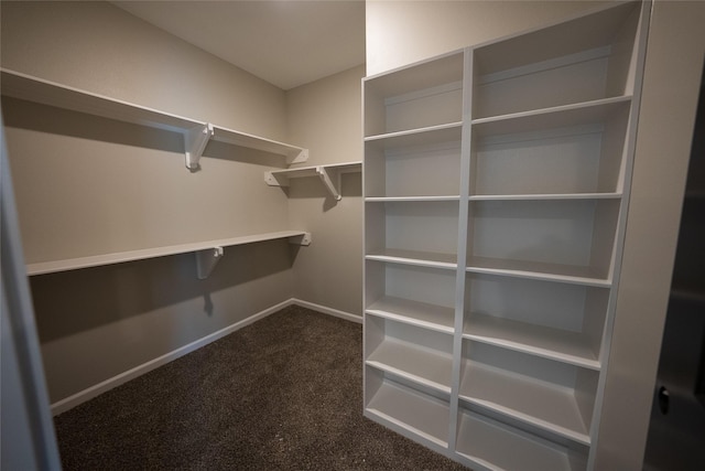 spacious closet with dark carpet