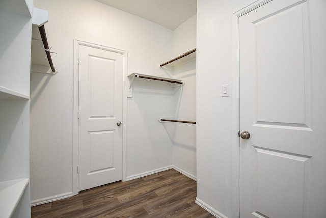 7303 Dover View Ln, Katy, TX 77493 - walk in closet with dark wood-style floors