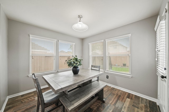 dining room featuring baseboards and wood finished floors