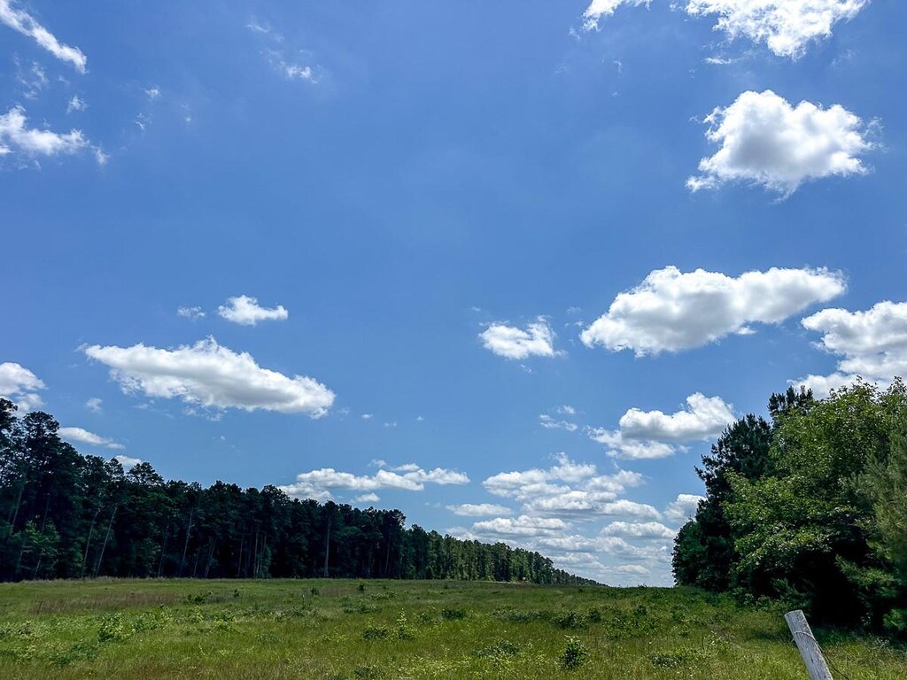 10 Friday Rd, Groveton, TX 75845