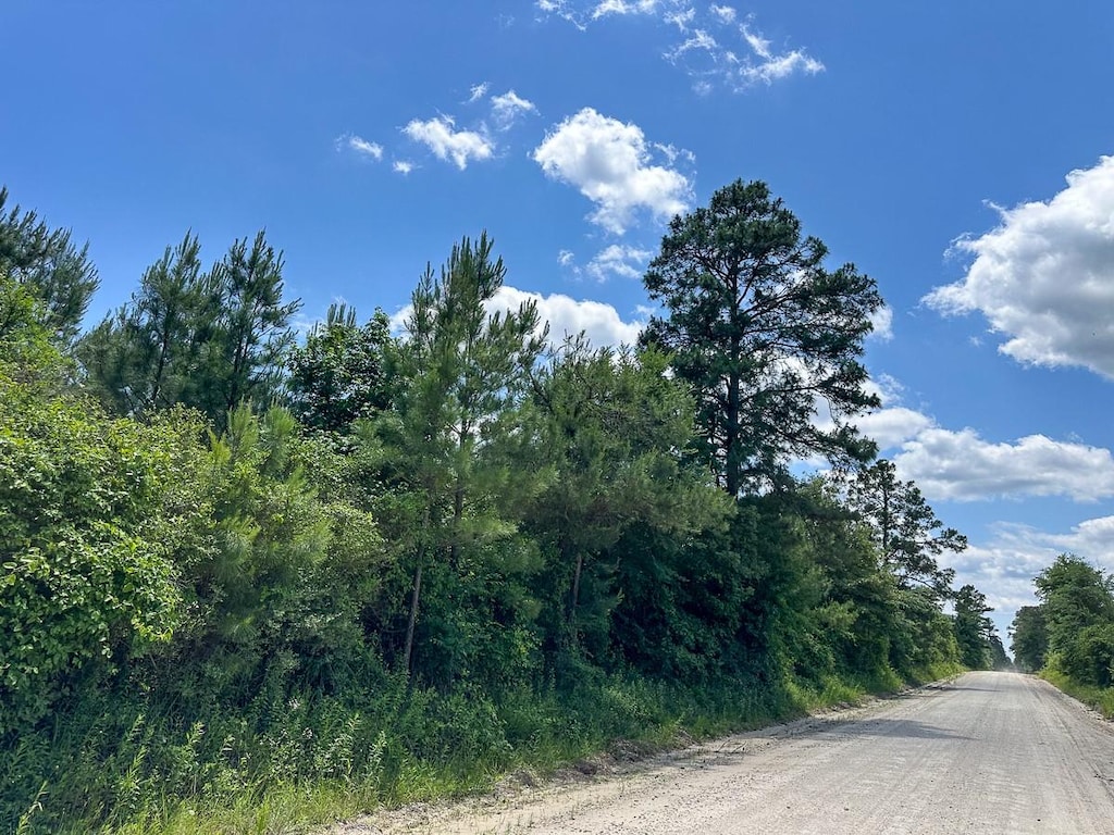 10 Friday Rd, Groveton, TX 75845