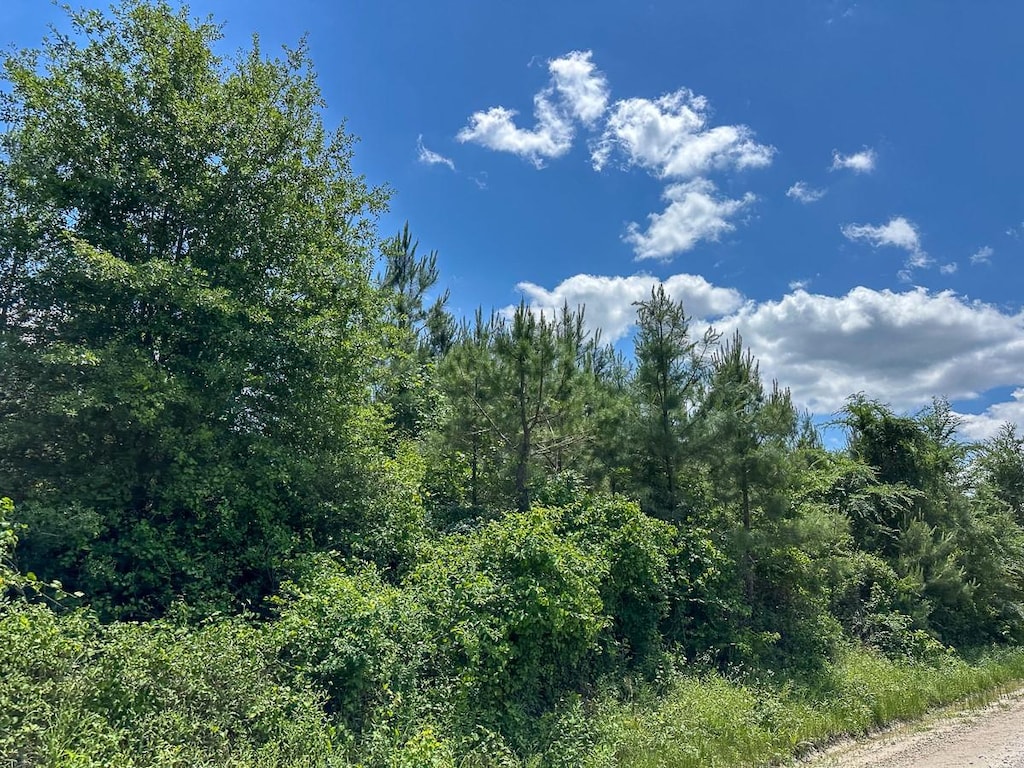 10 Friday Rd, Groveton, TX 75845