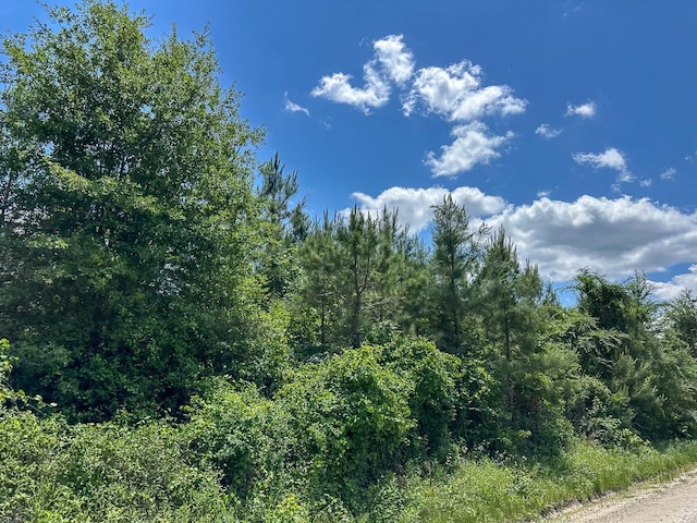 10 Friday Rd, Groveton, TX 75845