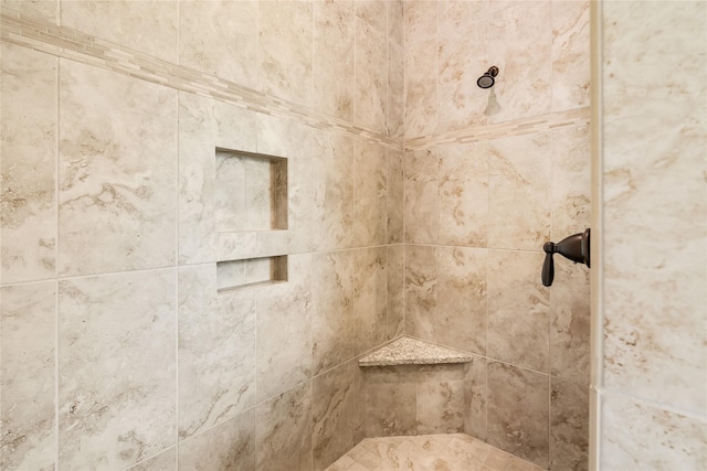 9811 Mount Shasta, Missouri City, TX 77459 - bathroom view of a tile shower