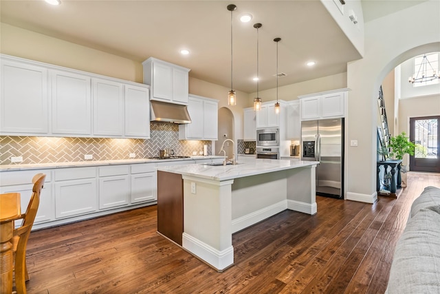 9811 Mount Shasta, Missouri City, TX 77459 - kitchen featuring stainless steel appliances, arched walkways, under cabinet range hood, dark wood-style floors, and recessed lighting