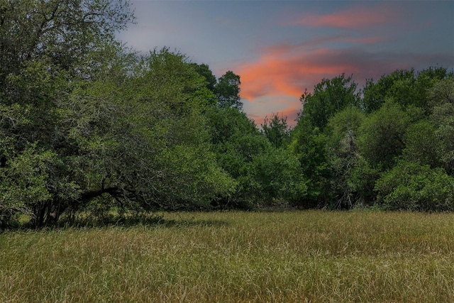 3610 Noak Rd, Round Top, TX 78954