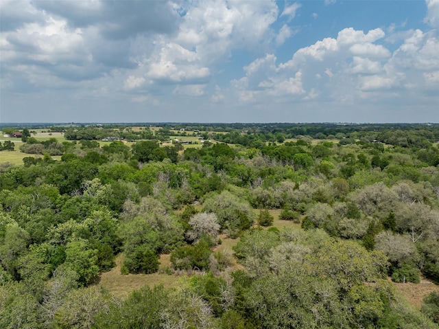3610 Noak Rd, Round Top, TX 78954