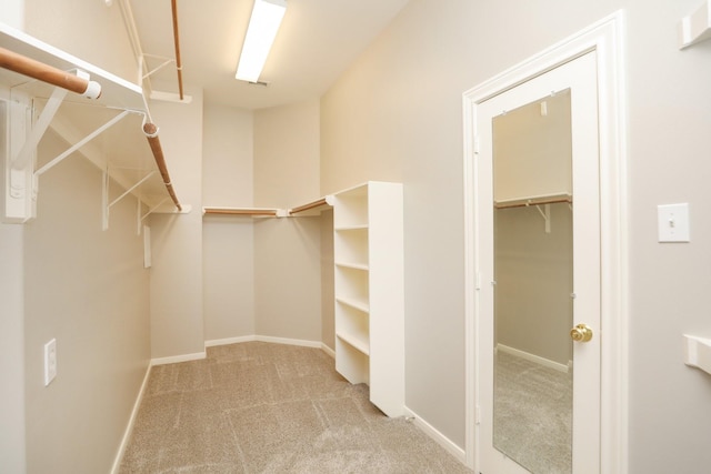 walk in closet with carpet floors