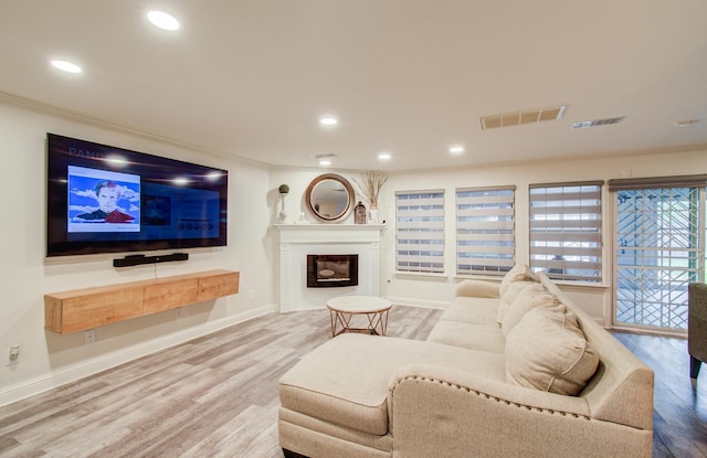 2519 Bradburn Hill Ln, Houston, TX 77014 - living room featuring wood finished floors, recessed lighting, baseboards, a glass covered fireplace, and crown molding