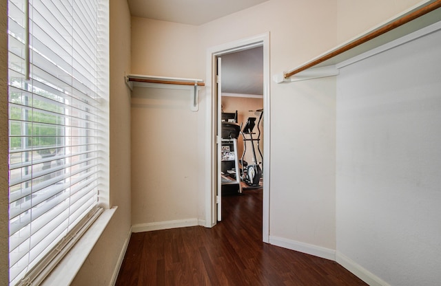 2519 Bradburn Hill Ln, Houston, TX 77014 - spacious closet featuring dark wood-style floors