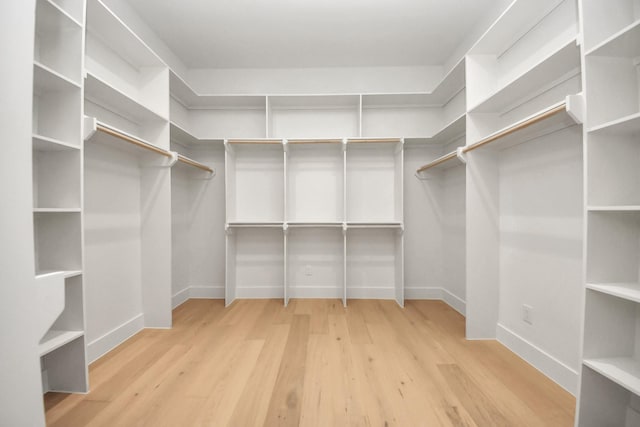 spacious closet featuring light wood-style flooring