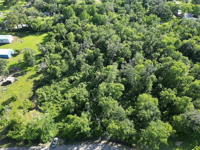 2743 County Road 686, Brazoria, TX 77422