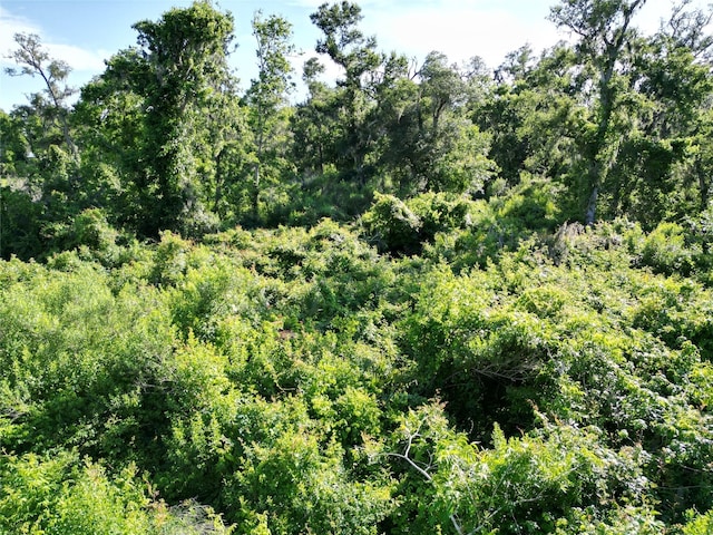 2743 County Road 686, Brazoria, TX 77422
