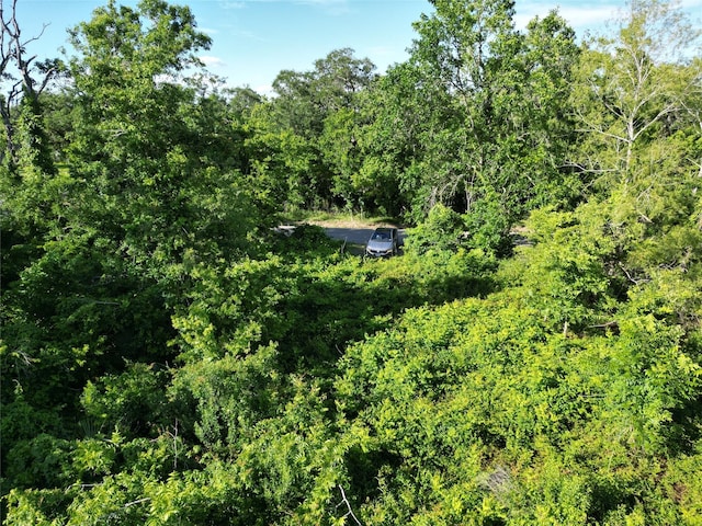 2743 County Road 686, Brazoria, TX 77422