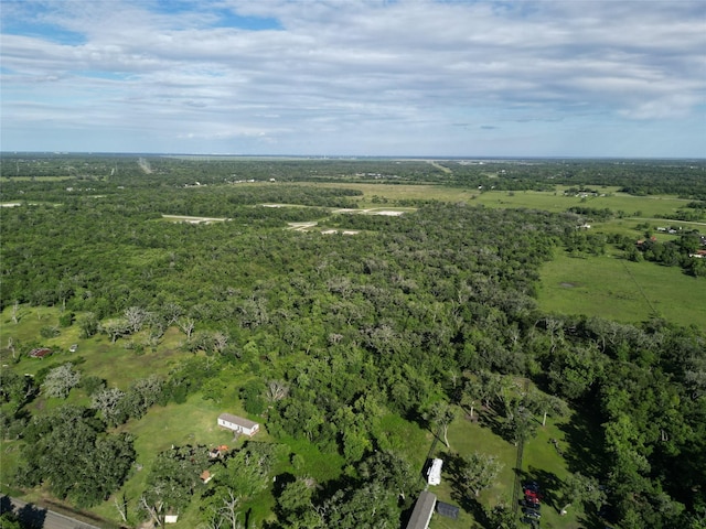 2743 County Road 686, Brazoria, TX 77422