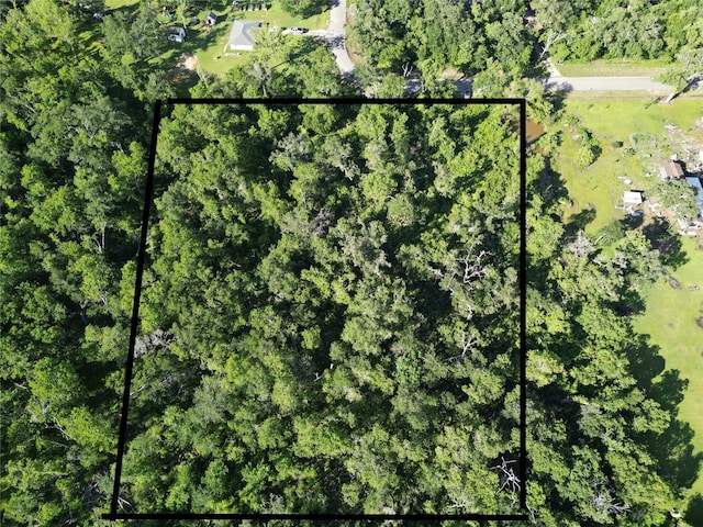 2743 County Road 686, Brazoria, TX 77422