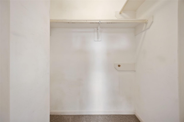 17610 Mill Springs Dr, Spring, TX 77379 - walk in closet with carpet flooring